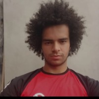 WEBER BATISTA DA SILVA