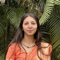 Himanshi Tanwar