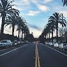 Florine _Rousseau