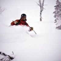Jared Lemieux