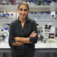 Federica Bertocchini