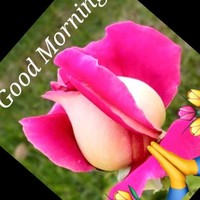 Sahab Singh Sahab Singh