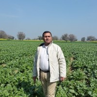 Arvind Kapur