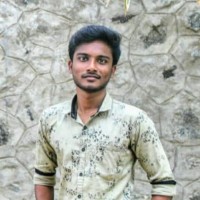 Vijayan M