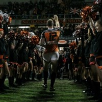 Gareth Ellis