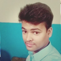 Ca Saurya S.
