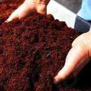 Kopeat exports Kopeat