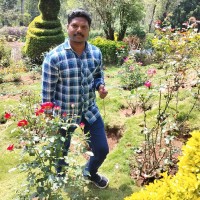 Mohan Marimuthu