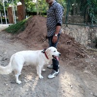 Dharmendra Jat