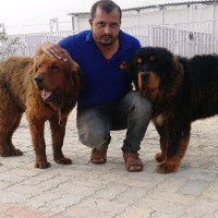 Sanjay Kumar
