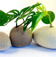 Living Green Decor Porcelain Vases