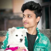 Ayush Modle