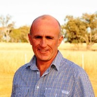 David McRae