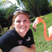 Kathleen Bilski, Cvt, Bas-Vt