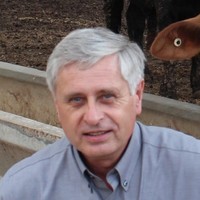 Dennis Nuzback