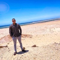 خليل الحبشي