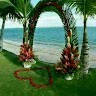Babar Cheema