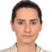 Ara Manteghi Tafreshi