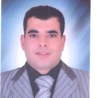 Ramadan Shafeik ,Pmi-Pmp®