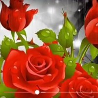 Saddam Hussain