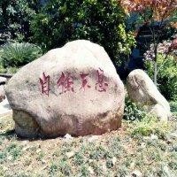 杨顺荡