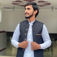 Ali Shahwaiz