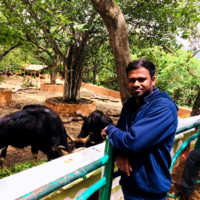 Govindaraj N
