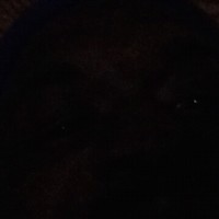 Demetrius Diamond