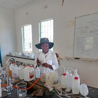 Tinotenda Sithole