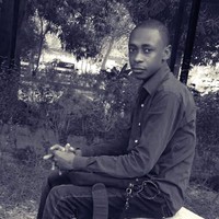 Kakatouda Ari