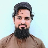 Amir Hamza
