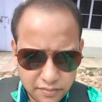 Niladri Shekhar Roy