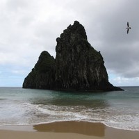 NATU Mora