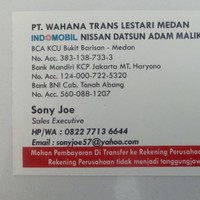 sony joe