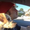 Brett Rothfeld