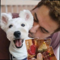 Pedro Marcondes Vasconcelos