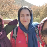 Fatemeh Shahin