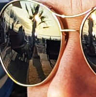 Lucie BOFFO LIPPMANN