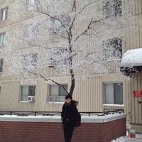 Marjan Aghvami