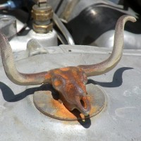 Axel Dieselrod