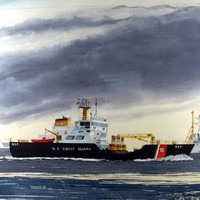 Dale Brown