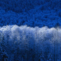 Lidia Caballero Sanchez