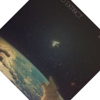 陈明星