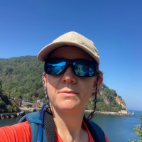 Sara Robertson FRSA FIIC