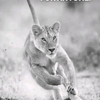 Proud Indian