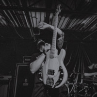 Chris Arnold