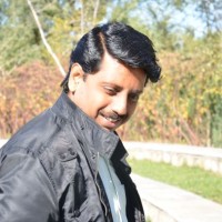 Narayanan M L