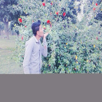 Sohail Mughal