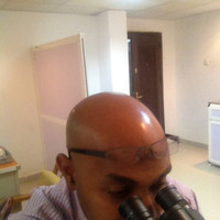 sami yousif