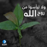 Shaban Salah
